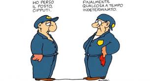 Cipputi