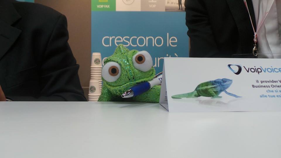 Pascal