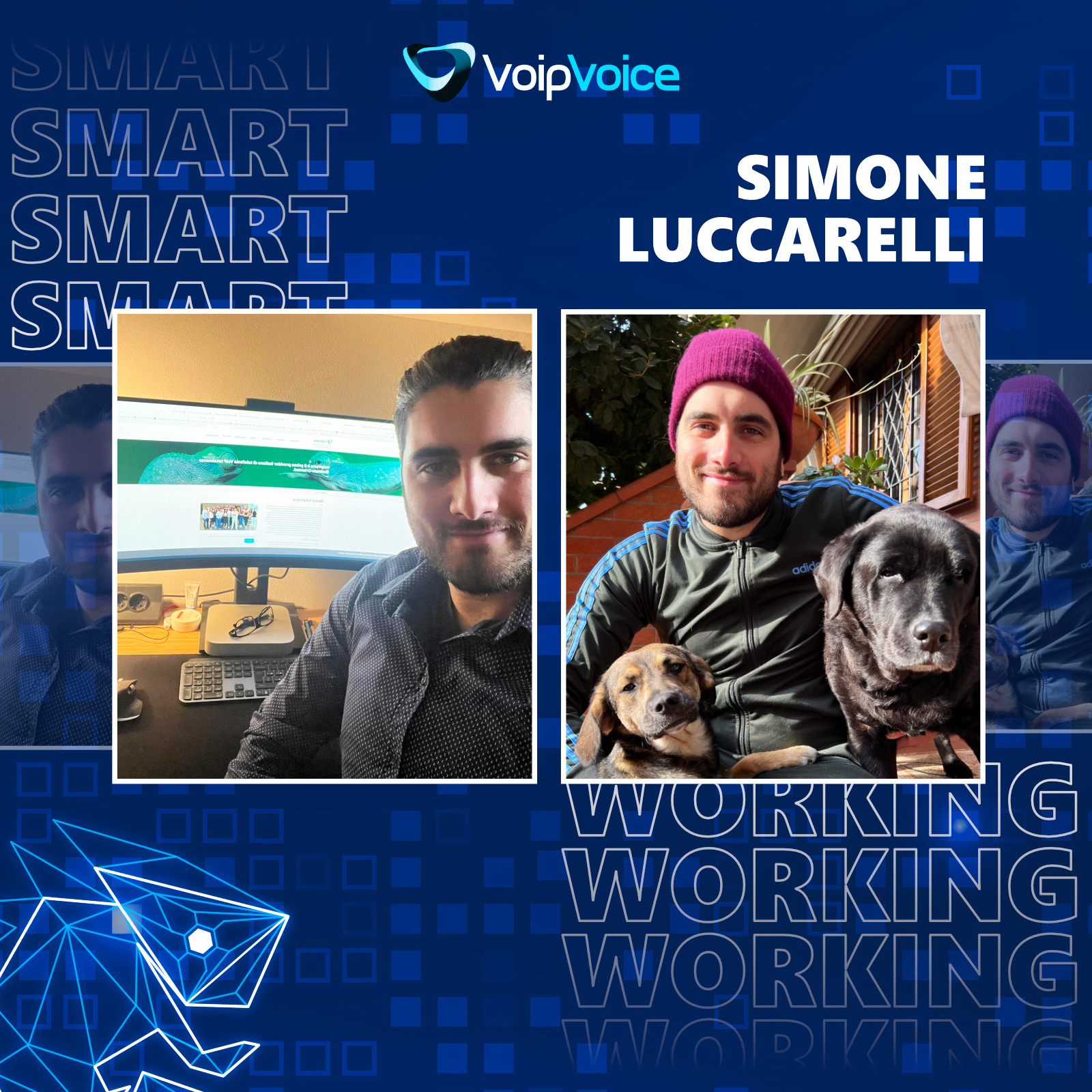 Simone Luccarelli 