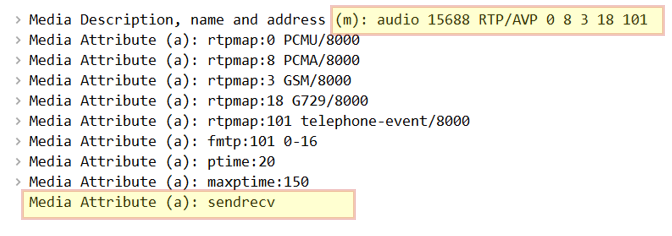 sendrecv SIP
